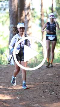 BIB:  <button type="button" onclick="openModal(26568577)" class="btn btn-primary btn-sm float-right" data-toggle="modal" data-target=".modal-high-quality">
                <i class="fa fa-download"></i> Download
                </button>